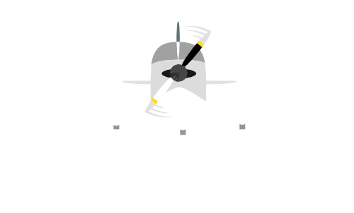 JetSetNet logo